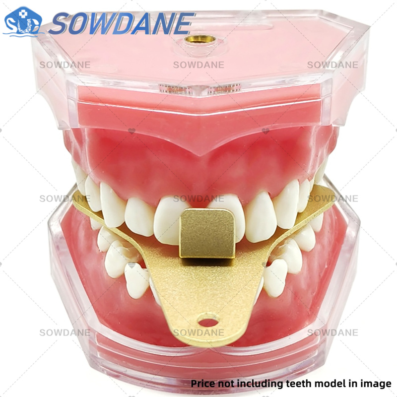 Лотки для оттисков стоматологи – обзор и цена Teeth Whitening Tray