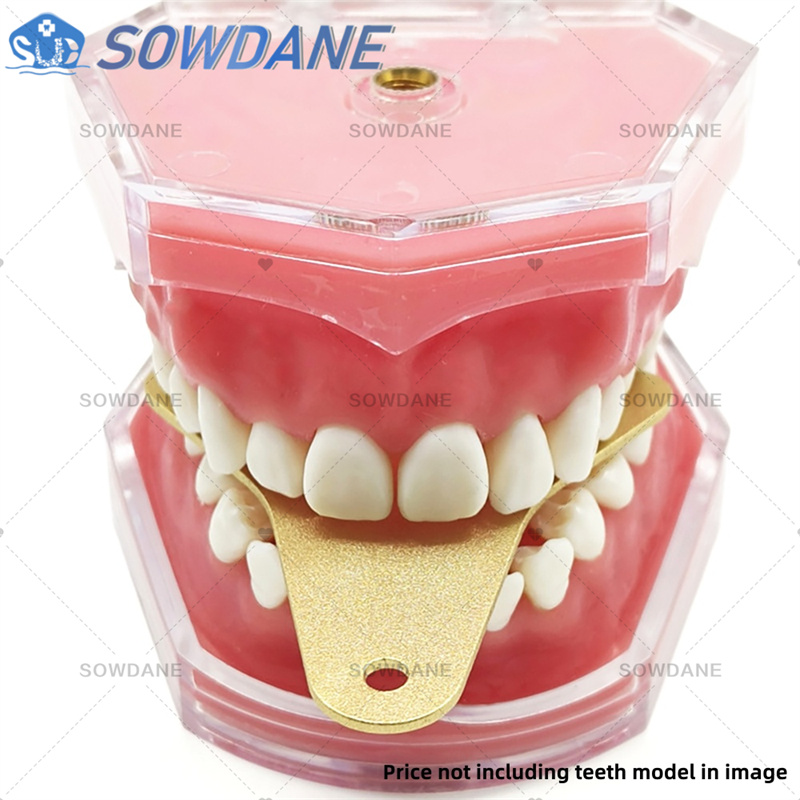 Лотки для оттисков стоматологи – обзор и цена Teeth Whitening Tray